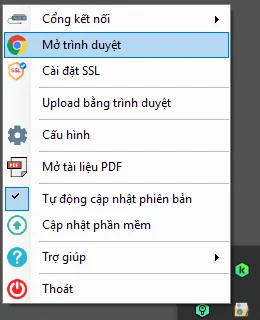 Chọn Mở trình duyệt từ biểu tượng VSS Declaration